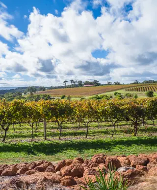 Erlebe Surfen und Wein in Margaret River